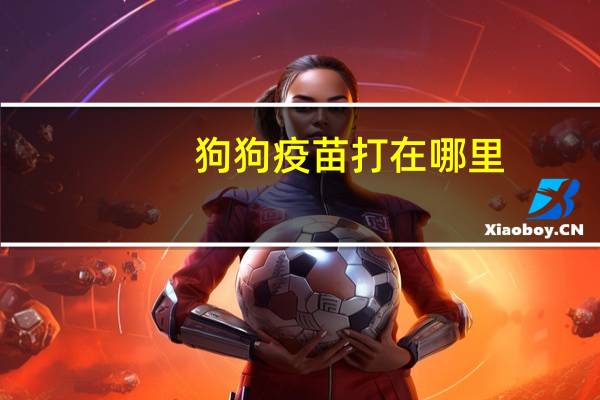 狗狗疫苗打在哪里