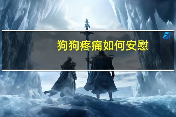 狗狗疼痛如何安慰