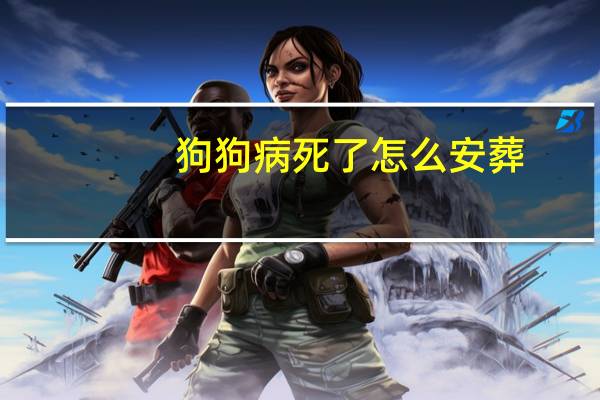 狗狗病死了怎么安葬