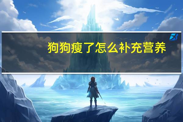 狗狗瘦了怎么补充营养