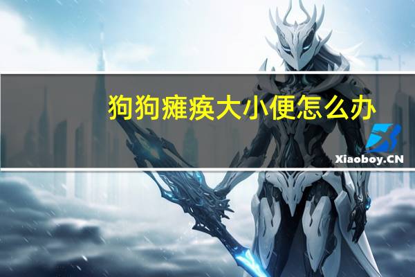 狗狗瘫痪大小便怎么办