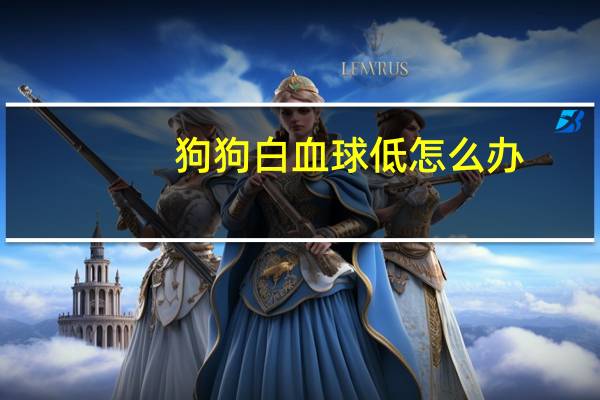 狗狗白血球低怎么办