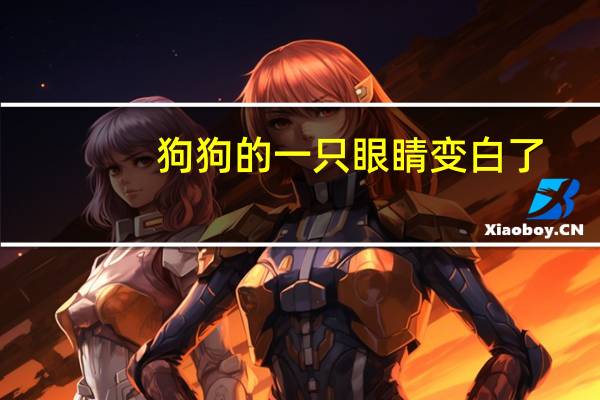 狗狗的一只眼睛变白了