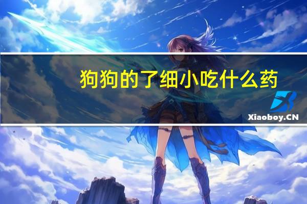 狗狗的了细小吃什么药