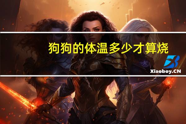 狗狗的体温多少才算烧