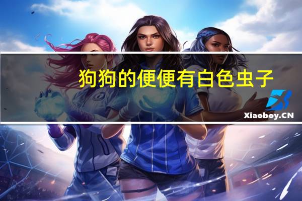 狗狗的便便有白色虫子