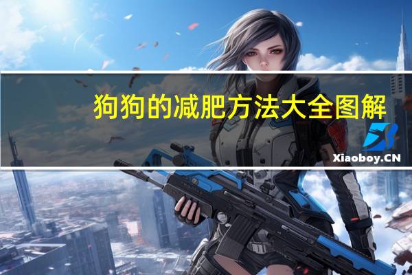 狗狗的减肥方法大全图解