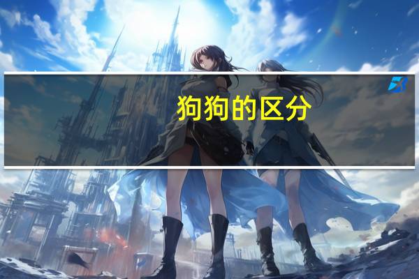 狗狗的区分
