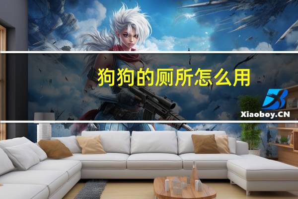 狗狗的厕所怎么用