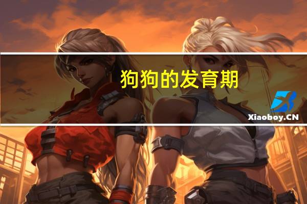狗狗的发育期