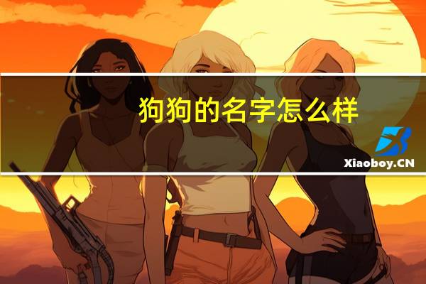 狗狗的名字怎么样