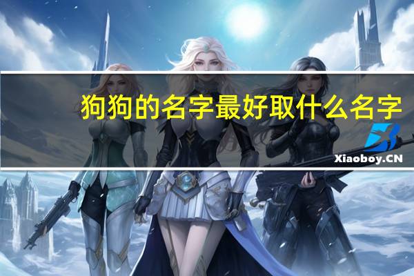 狗狗的名字最好取什么名字