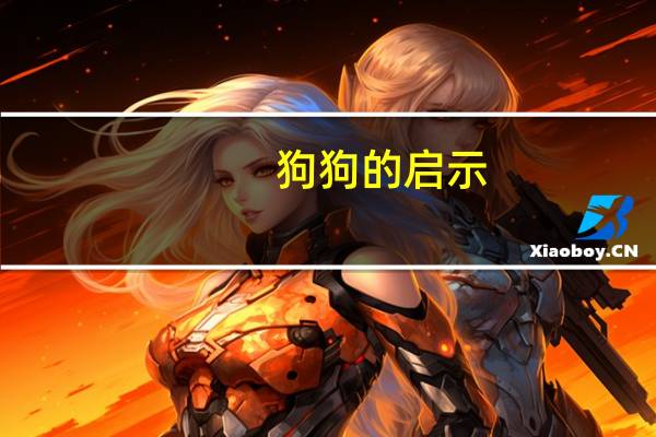 狗狗的启示