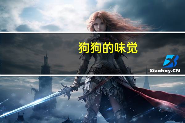 狗狗的味觉