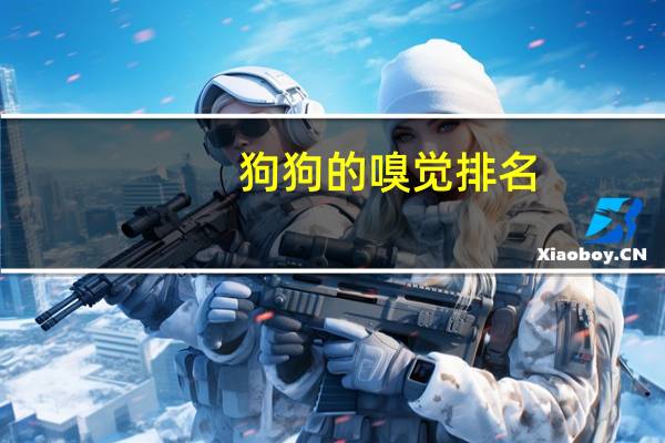 狗狗的嗅觉排名