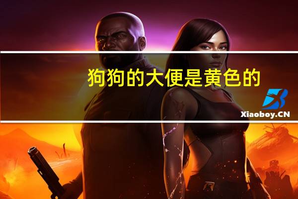 狗狗的大便是黄色的