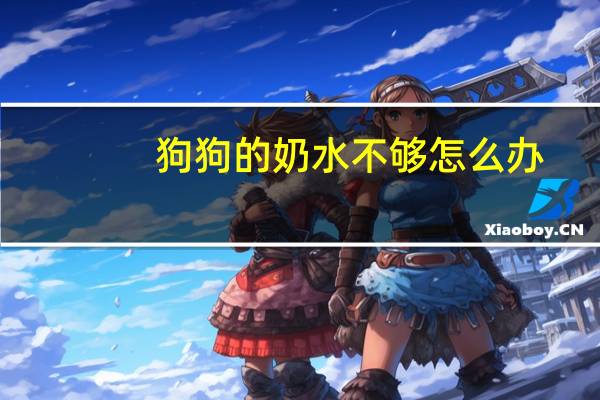 狗狗的奶水不够怎么办
