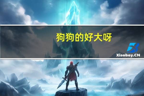 狗狗的好大呀