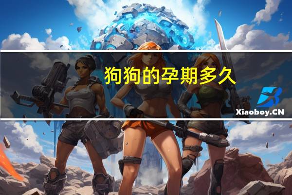 狗狗的孕期多久