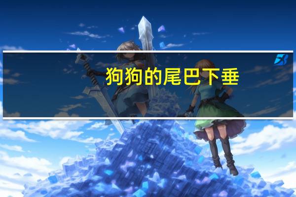 狗狗的尾巴下垂