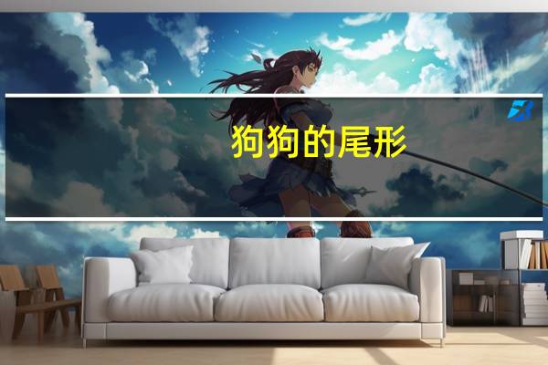 狗狗的尾形