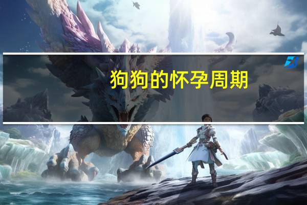狗狗的怀孕周期
