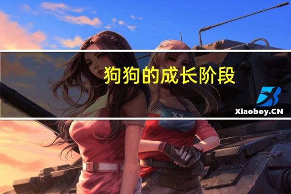 狗狗的成长阶段