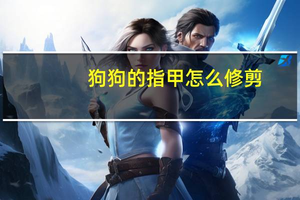 狗狗的指甲怎么修剪