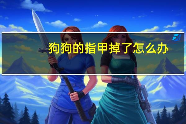 狗狗的指甲掉了怎么办