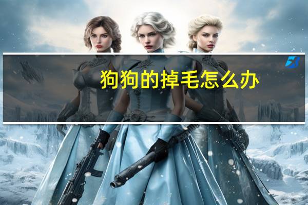 狗狗的掉毛怎么办