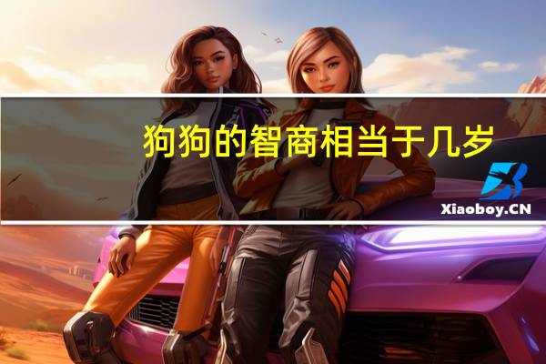 狗狗的智商相当于几岁
