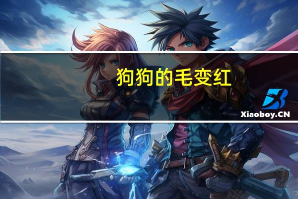 狗狗的毛变红
