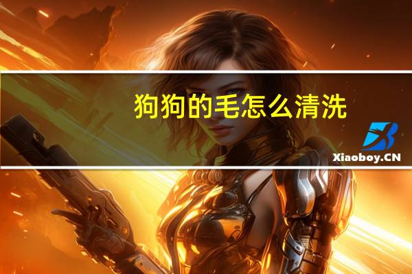 狗狗的毛怎么清洗
