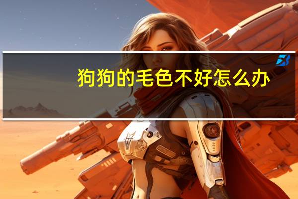 狗狗的毛色不好怎么办