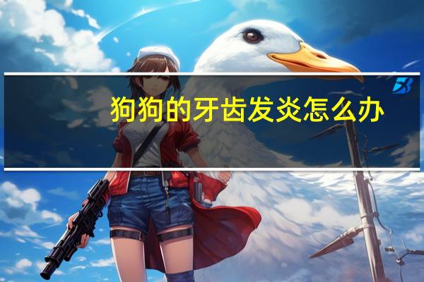狗狗的牙齿发炎怎么办