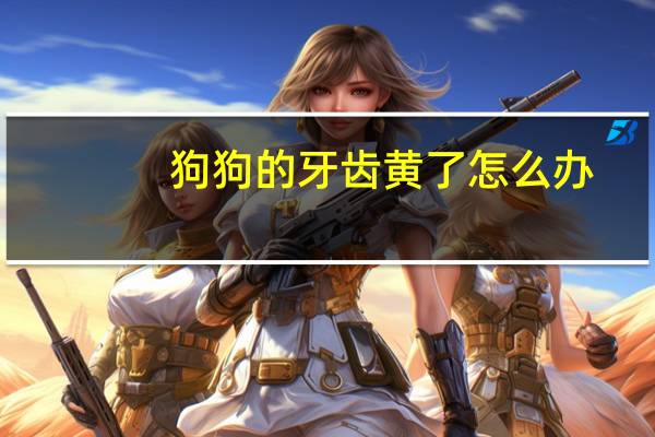 狗狗的牙齿黄了怎么办