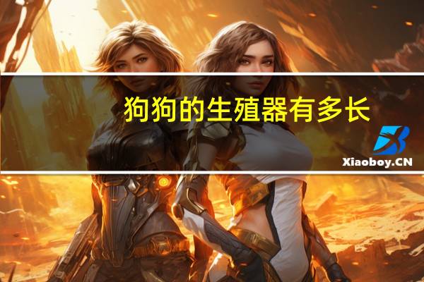 狗狗的生殖器有多长