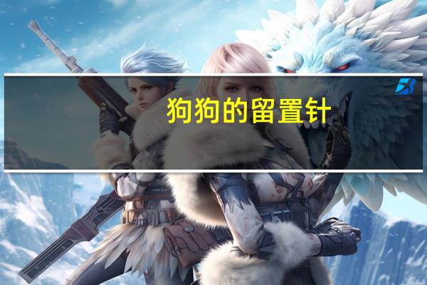 狗狗的留置针