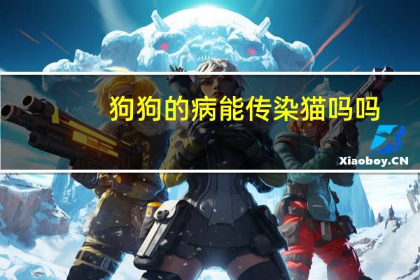 狗狗的病能传染猫吗吗