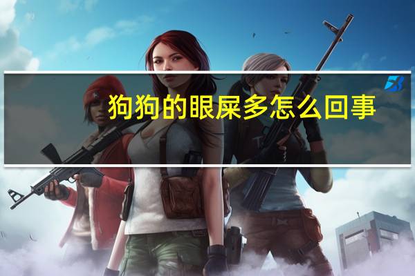 狗狗的眼屎多怎么回事