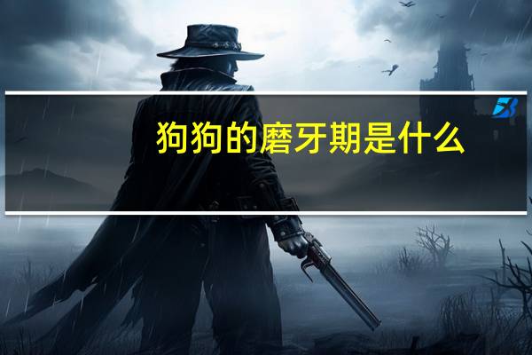 狗狗的磨牙期是什么