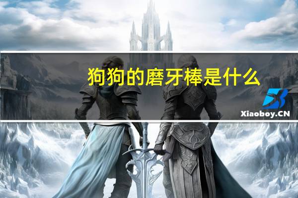狗狗的磨牙棒是什么