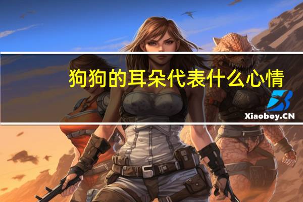 狗狗的耳朵代表什么心情