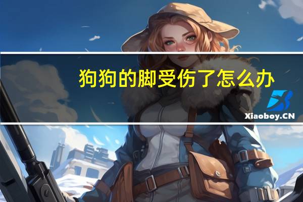狗狗的脚受伤了怎么办