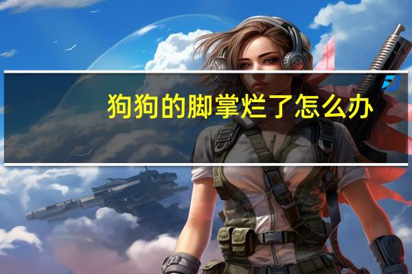 狗狗的脚掌烂了怎么办