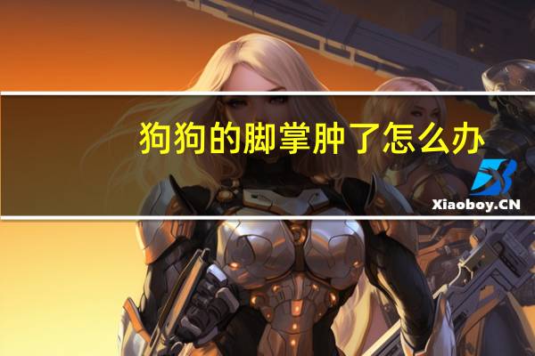 狗狗的脚掌肿了怎么办