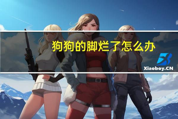 狗狗的脚烂了怎么办