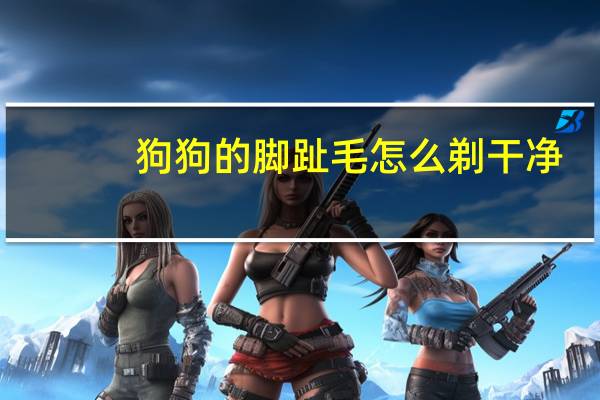 狗狗的脚趾毛怎么剃干净