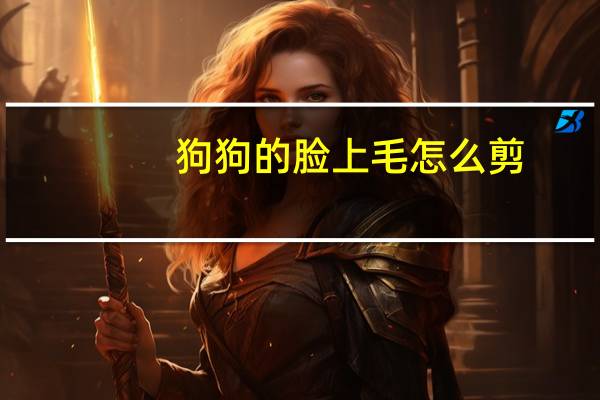 狗狗的脸上毛怎么剪