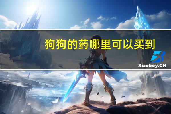 狗狗的药哪里可以买到